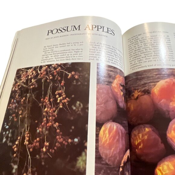 Audubon Nature Yearbook 1987 Book By Grolier Books Nature Photography & Wildlife - Picture 5 of 9